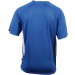 color:royal/white