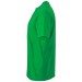 color:fern-green