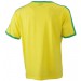 color:yellow/frog