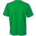 color:fern-green