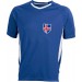 color:royal/white