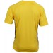 color:yellow/black