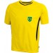 color:yellow/black