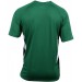 color:green/white