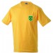 color:gold-yellow