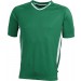 color:green/white