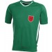 color:green/white