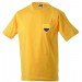 color:gold-yellow