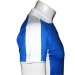color:royal_weiss