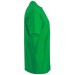 color:fern-green
